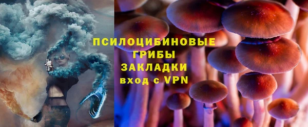 сатива Гусиноозёрск