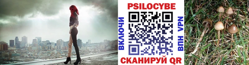 Псилоцибиновые грибы мухоморы  Купить закладки  Кодинск 